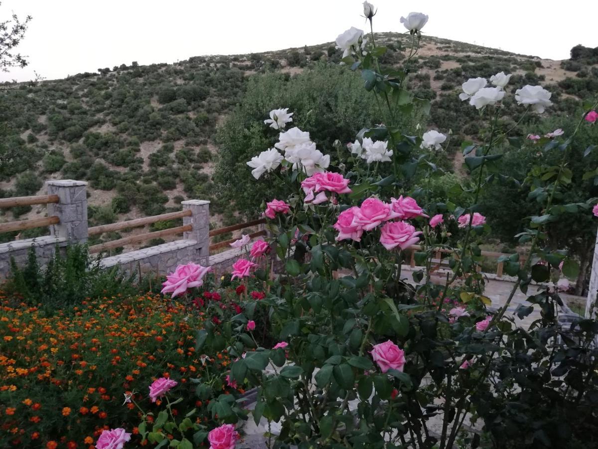 Villa Agno - Βίλα Αγνώ Ano Karies Exteriör bild